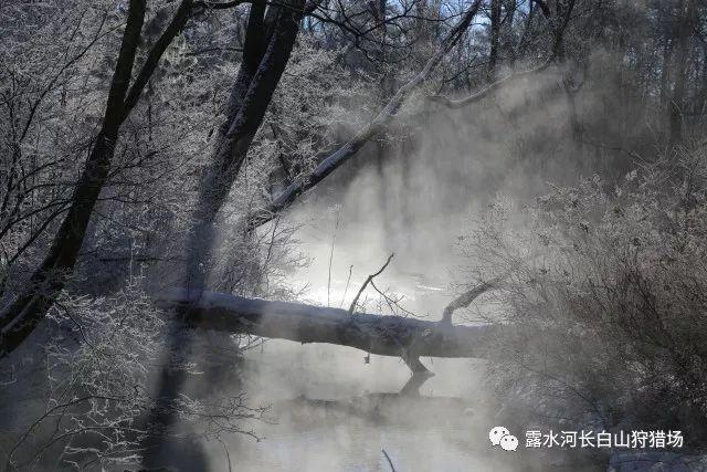 模拟农场17