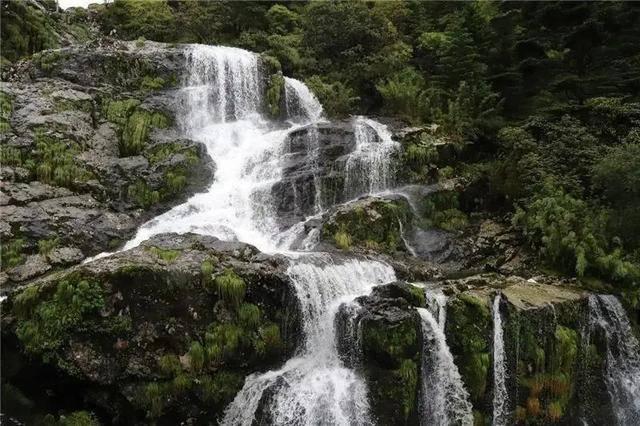 大雨林逃生